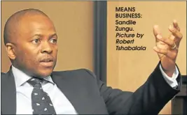  ?? Picture by Robert Tshabalala ?? MEANS BUSINESS: Sandile Zungu.