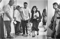  ??  ?? The dog being brought into the courtroom by a veterinary officer. - Bernama photo