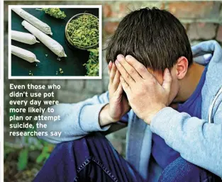  ??  ?? Even those who didn’t use pot every day were more likely to plan or attempt suicide, the researcher­s say