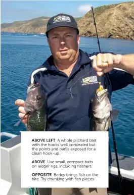  ??  ?? ABOVE LEFT A whole pilchard bait with the hooks well concealed but the points and barbs exposed for a clean hook-up. ABOVE Use small, compact baits on ledger rigs, including flashers. OPPOSITE Berley brings fish on the bite. Try chunking with fish...