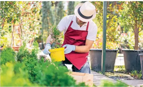  ??  ?? Pflanzen, schneiden, jäten: Im Garten kann man nun erste wichtige Arbeiten erledigen.