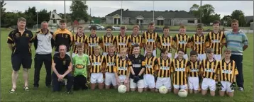  ??  ?? The Shelmalier­s panel before the game in Páirc Charman.