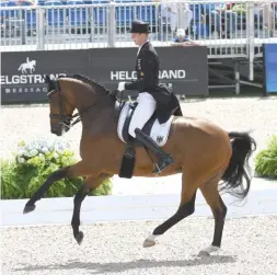  ??  ?? Sönke Rothenberg­er pulls out a cracking personal best with the brilliant Cosmo, breaking 80% at grand prix for the first time