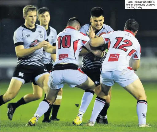  ??  ?? Tiaan Thomas-Wheeler is one of the young Ospreys starting today