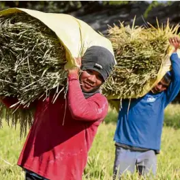  ?? —NIÑO JESUS ORBETA ?? FARM WORK Farmers endure the heat and long hours to keep the country’s agricultur­al lands productive.