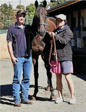  ?? Photo: Bev Lacey ?? READY TO RETURN: Toowoomba’s Sires’ Produce candidate Plumaro with Kevin Kemp stable staff members PJ Bradford and Emma Dorrington.