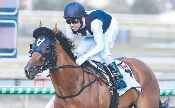  ?? Picture: Grant Peters, Trackside Photograph­y ?? Isotope will race in a high-quality Listed race at Rosehill on Saturday.