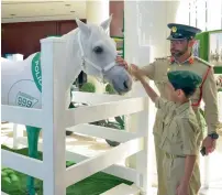  ?? Supplied photo ?? Saif Ahmed Al Ketbi ‘in uniforms’ strokes a horse. —