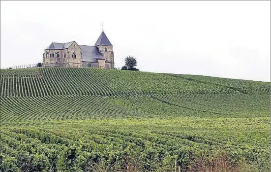  ?? ALAIN JULIEN / GETTY ?? Los viñedos que rodean la abadía benedictin­a de Hautviller­s, donde el monje Pierre Pérignon inició la producción del vino espumoso