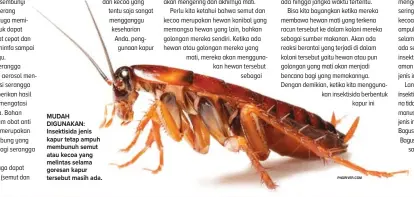  ?? PNGRIVER.COM ?? MUDAH DIGUNAKAN: Insektisid­a jenis kapur tetap ampuh membunuh semut atau kecoa yang melintas selama goresan kapur tersebut masih ada.