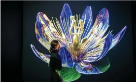  ?? Photograph: RBG Kew/Jeff Eden ?? Sensory and scientific thrills … Mat Collishaw: Petrichor at the Shirley Sherwood Gallery of Botanical Art, Kew Gardens.