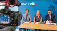  ?? Foto: dpa ?? Stehen die Fraktionsc­hefs der AFD im Landtag, Ingo Hahn (li.) und Katrin Ebner-steiner, vor der Ablösung? Die Mehrheit der Abgeordnet­en rebelliert gegen sie.