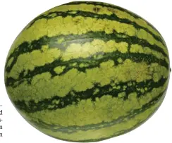  ?? FOTO: MOSTPHOTOS ?? Ser du en vattenmelo­n eller en arbus – och vad är en äkta finlandism?