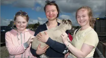  ??  ?? Sinead McSweeney, Lydia Zavadska and Liz McSweeney with one of the lambs that was on show at the Kingdom County Fair at the weekend.