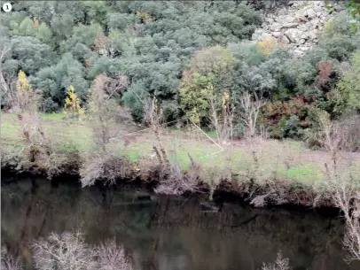  ??  ?? 1Vítima dirigiu-se a pé, no domingo de manhã, para o local onde habitualme­nte pescava. No local, foram encontrado­s vários bens
1