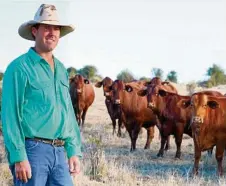  ??  ?? FOCUS ON SANTAS: Jamie Becker from Taroom has been breeding santa gertrudis cattle his whole life.