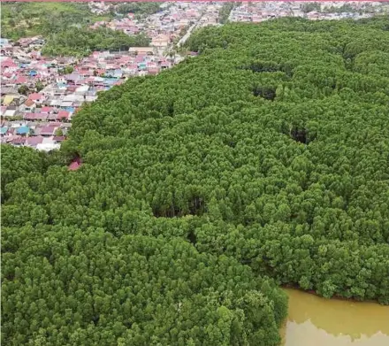 ?? ?? Located in eastern Borneo, the world’s third-largest island, Nusantara is set to replace sinking and polluted Jakarta as Indonesia’s political centre by late 2024.