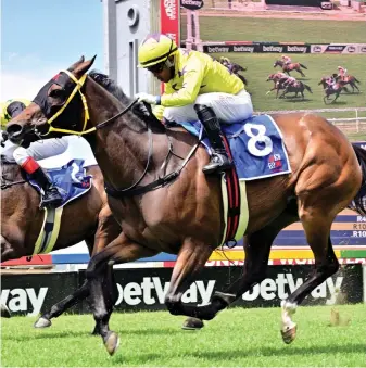  ?? Picture: JC Photograph­ics ?? CONTENDER. Muzi Yeni rides Iphiko in Race 9 at Turffontei­n today and he is expecting a big run from the Mike de Kock-trained sprinter.