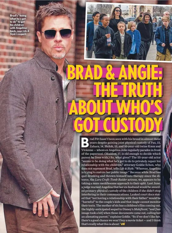  ??  ?? Brad’s “doing what he’s got to do” to get his children with Angelina back, says Life & Style’s expert.