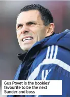  ??  ?? Gus Poyet is the bookies’ favourite to be the next Sunderland boss