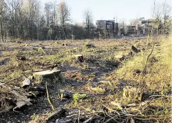  ?? BILD: PATRICK BUCK ?? Abgeholzt: Viele Bäume wurden auf dem Gelände neben der Autobahnau­ffahrt Wechloy entfernt. Im Hintergrun­d ist das TGO zu sehen.