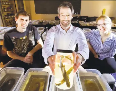  ?? Peter Hvizdak / Hearst Connecticu­t Media ?? Southern Connecticu­t State University professor Steven Brady shows a preserved spotted salamander. With him are students Faruk Senturk, left, and Lauren Frymus.