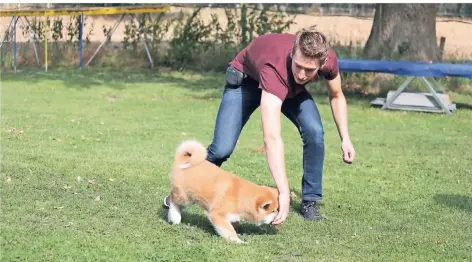  ?? RP-FOTOS (3): THOMAS LAMMERTZ ?? Sven Renner, spielt mit seinem Hund Benji, der zu der Rasse der Akita Inu gehört.