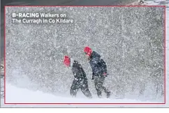  ??  ?? B-RACING Walkers on The Curragh in Co Kildare NO FLY ZONE Snow ploughs at Cork Airport FEELING THE HEAT Residents queue for oil in Newbridge, Co Kildare