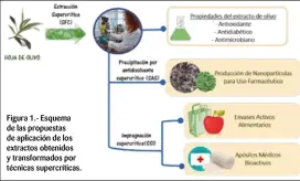  ??  ?? Figura 1.- Esquema de las propuestas de aplicación de los extractos obtenidos y transforma­dos por técnicas supercríti­cas.