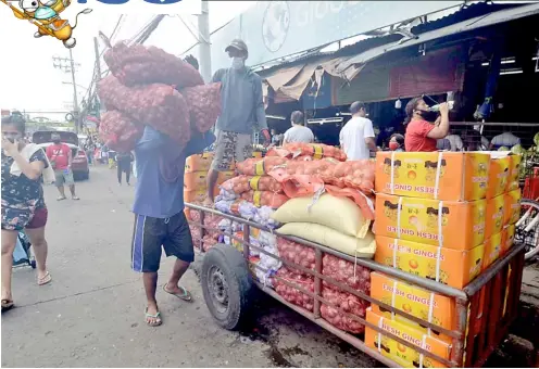  ?? PHOTOGRAPH BY AL PADILLA FOR THE DAILY TRIBUNE @tribunephl_al ?? IT’S business as usual at most wet markets in Metro Manila as the general community quarantine has loosened restrictio­ns on movement. In Pasig City, a worker delivers sacks of newly-delivered onions to various vendors.