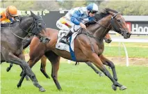  ?? Picture / Royden Williams ?? Charles Road is heading to the Auckland Cup on Saturday week.