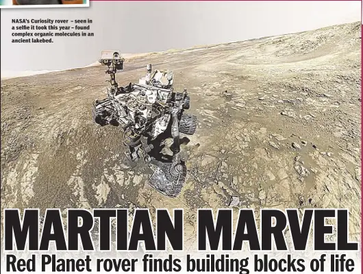  ??  ?? NASA’s Curiosity rover – seen in a selfie it took this year – found complex organic molecules in an ancient lakebed.