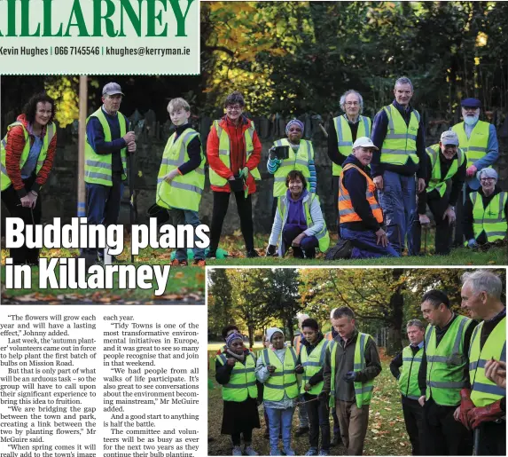  ?? Photos by Valerie O’Sullivan ?? RIGHT: A time to Plant..The Autumn Planters, Killarney Tidy Town Volunteers, were out in force at the weekend, planting a series of Snowdrop and bluebell bulbs on Mission Road, Killarney, in time for next Spring. The initiative is supported by Killarney Municipal District.BOTTOM RIGHT:Denis Doody, giving instructio­ns and advice on planting to volunteers