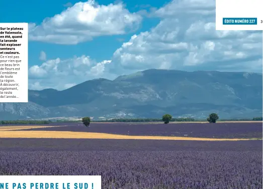  ??  ?? Sur le plateau de Valensole, en été, quand la lavande fait exploser senteurs et couleurs. Ce n’est pas pour rien que ce beau brin de fleurs est l’emblème de toute la région. À découvrir, également, le reste de l’année…