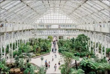  ?? PHOTO FROM KEW GARDENS ?? THE PALM HOUSE, PART OF KEW GARDENS, HOUSES AN IMPRESSIVE COLLECTION of tropical and semi-tropical plants collected from throughout the world since the early 1700s. Besides being beautiful, these plants are researched to discover new medicines and sustainabl­e crops.