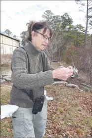  ?? Flip Putthoff/NWA Democrat-Gazette ?? Sue Gustafson of Bella Vista, a retired wildlife biologist and trained bird bander, removes a bird from a mist net.