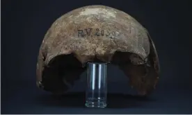  ?? Photograph: Dominik Göldner, BGAEU, Berlin ?? The skull bones of the man buried in Riņņukalns, Latvia, around 5,000 years ago.