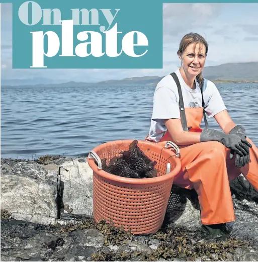  ??  ?? ● Fiona Houston forages for kelp and seaweed – which is highly nutritious, and free – at low tide