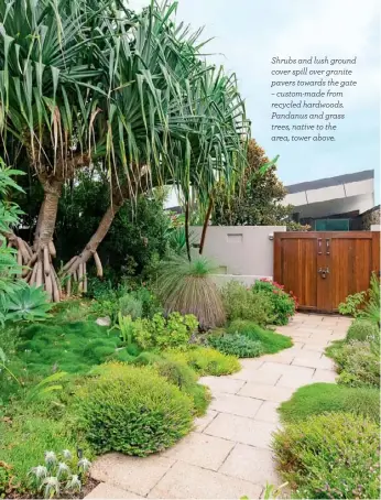  ??  ?? Shrubs and lush ground cover spill over granite pavers towards the gate – custom-made from recycled hardwoods. Pandanus and grass trees, native to the area, tower above.