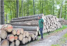  ?? FOTO: WOLFGANG LUTZ ?? Wenn sich die Holzpolder wieder zum Verkauf anhäufen, freut sich bei den derzeitige­n Holzpreise­n nicht nur Revierleit­er Armin Schlegel.