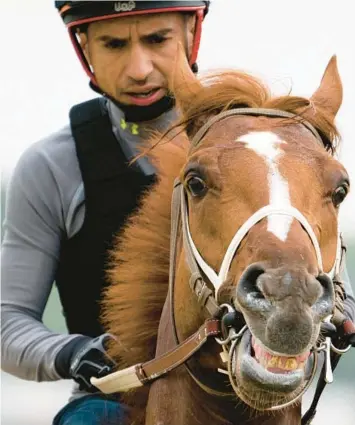  ?? JOHN MINCHILLO/AP ?? Rich Strike walks off the track after training before the 154th running of the Belmont Stakes on Thursday.