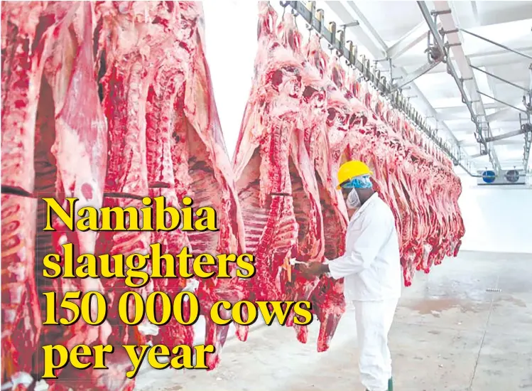  ?? Photo: Meatco ?? Massive… The country’s livestock industry is worth a booming N$3.4 billion.