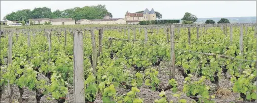  ?? SUBMITTED PHOTO ?? Grapevines, chateau and history are interwoven throughout the Bordeaux region.