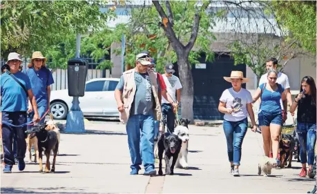  ??  ?? Se reúnen todos los domingos en el Parque Urueta para trabajar las conductas de las mascotas