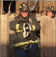  ?? KEVIN MARTIN — THE MORNING JOURNAL ?? An Elyria firefighte­r rescues a cat on Oct. 24 following a fire at the College Park Apartments