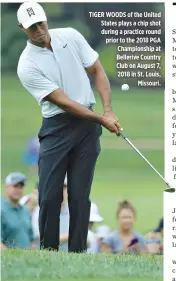  ??  ?? TIGER WOODS of the United States plays a chip shot during a practice round prior to the 2018 PGA Championsh­ip at Bellerive Country Club on August 7, 2018 in St. Louis, Missouri.