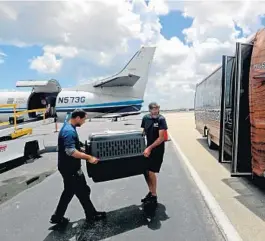  ??  ?? Saturday’s arrivals came from seven Louisiana parishes, including three parishes that were directly affected by Hurricane Ida.