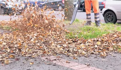  ?? FOTO: DPA ?? Laubbläser dürfen Mieter und Hausbesitz­er wegen des Lärms nur zu festen Zeiten am Tag verwenden.