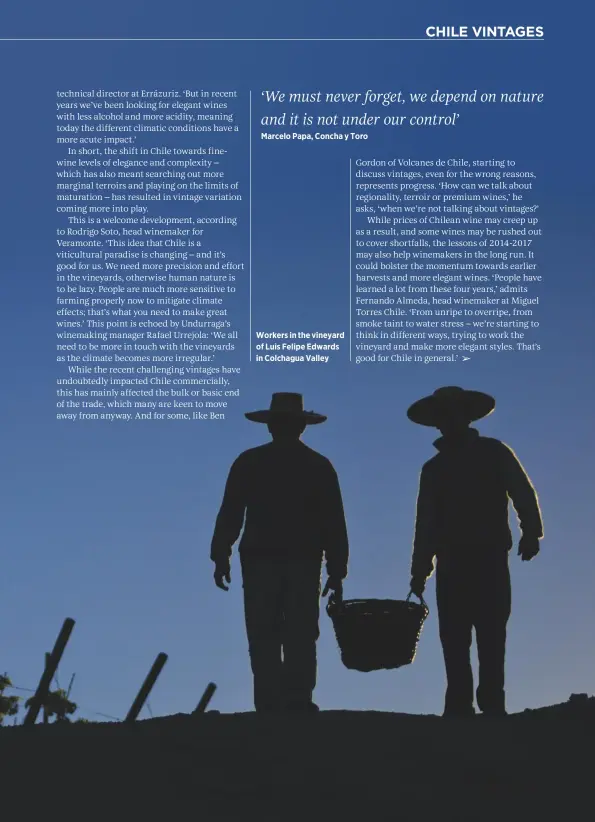  ??  ?? Workers in the vineyard of Luis Felipe Edwards in Colchagua Valley