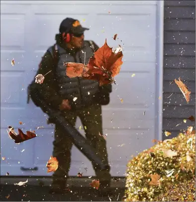  ?? H John Voorhees III / Hearst Connecticu­t Media ?? A worker for Signature Landscapin­g, in Norwalk, uses a gas-powered leaf blower during fall cleanup at a Wilton condo complex, Wednesday.